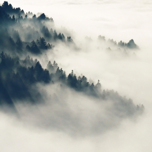 韩国18禁野外强奸多毛
